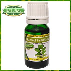 Sacred Frankincense